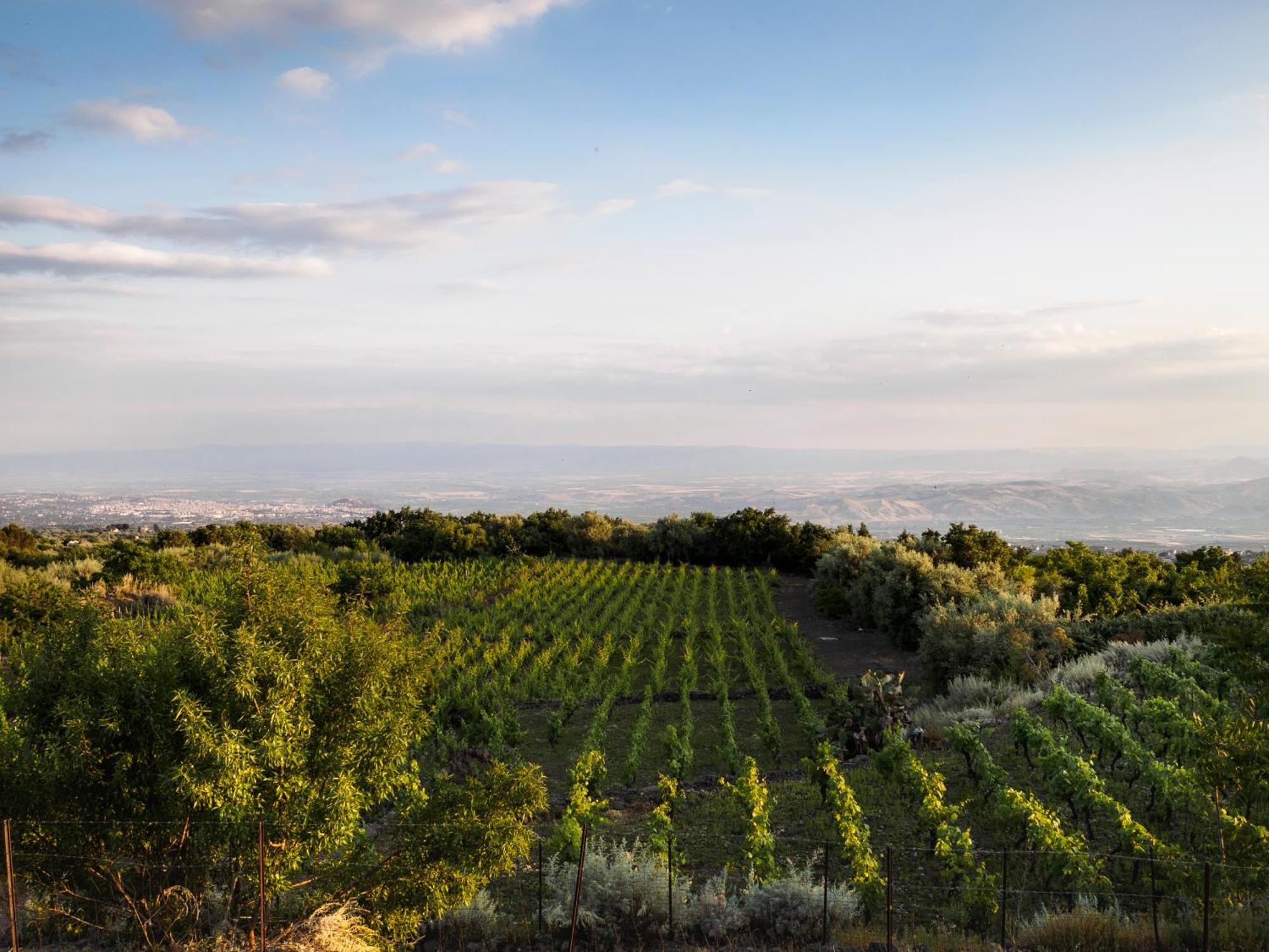 Podere Dell'Etna Segreta - Essential Nature Hotel & Glamping Biancavilla Eksteriør bilde