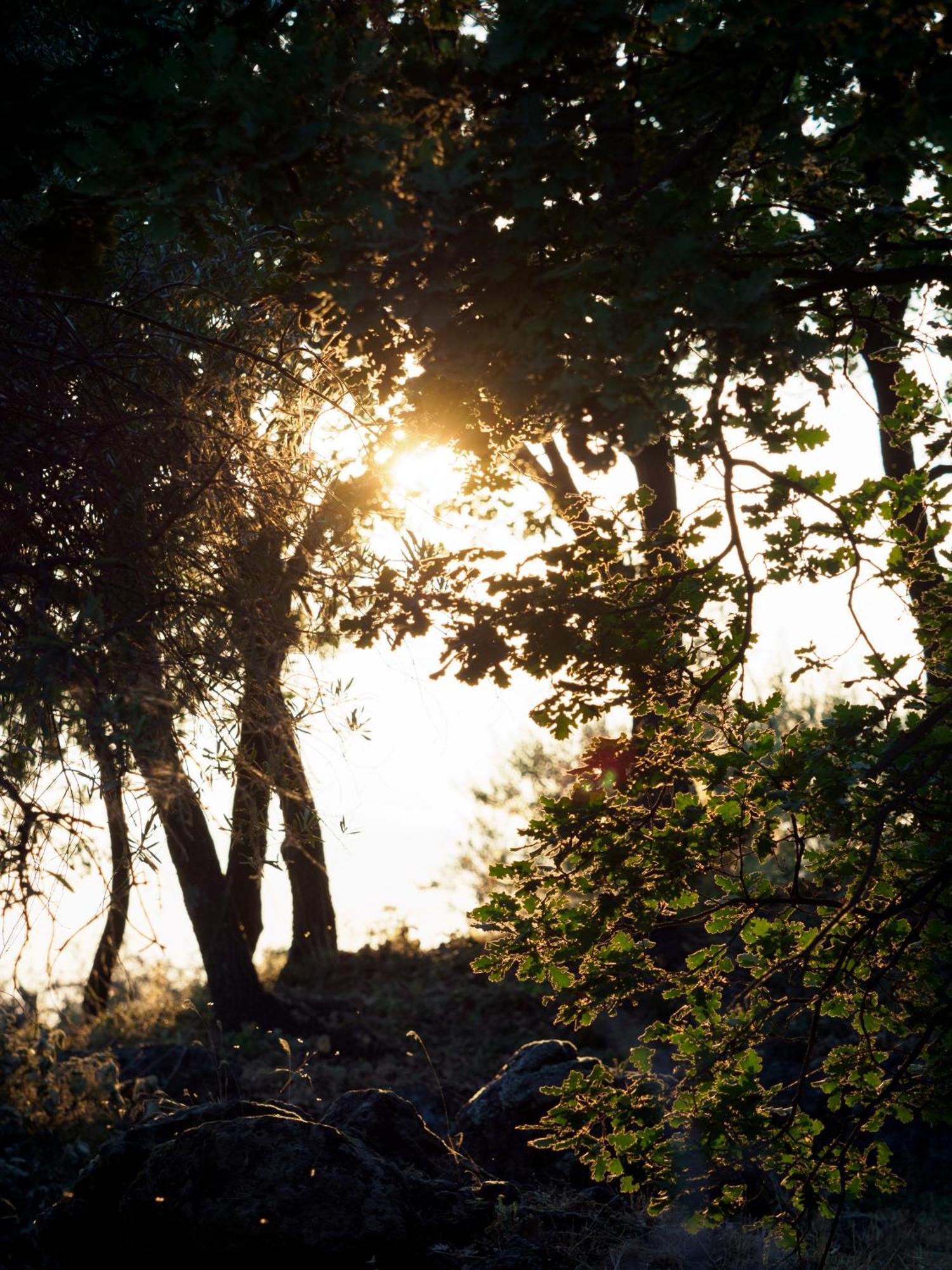 Podere Dell'Etna Segreta - Essential Nature Hotel & Glamping Biancavilla Eksteriør bilde