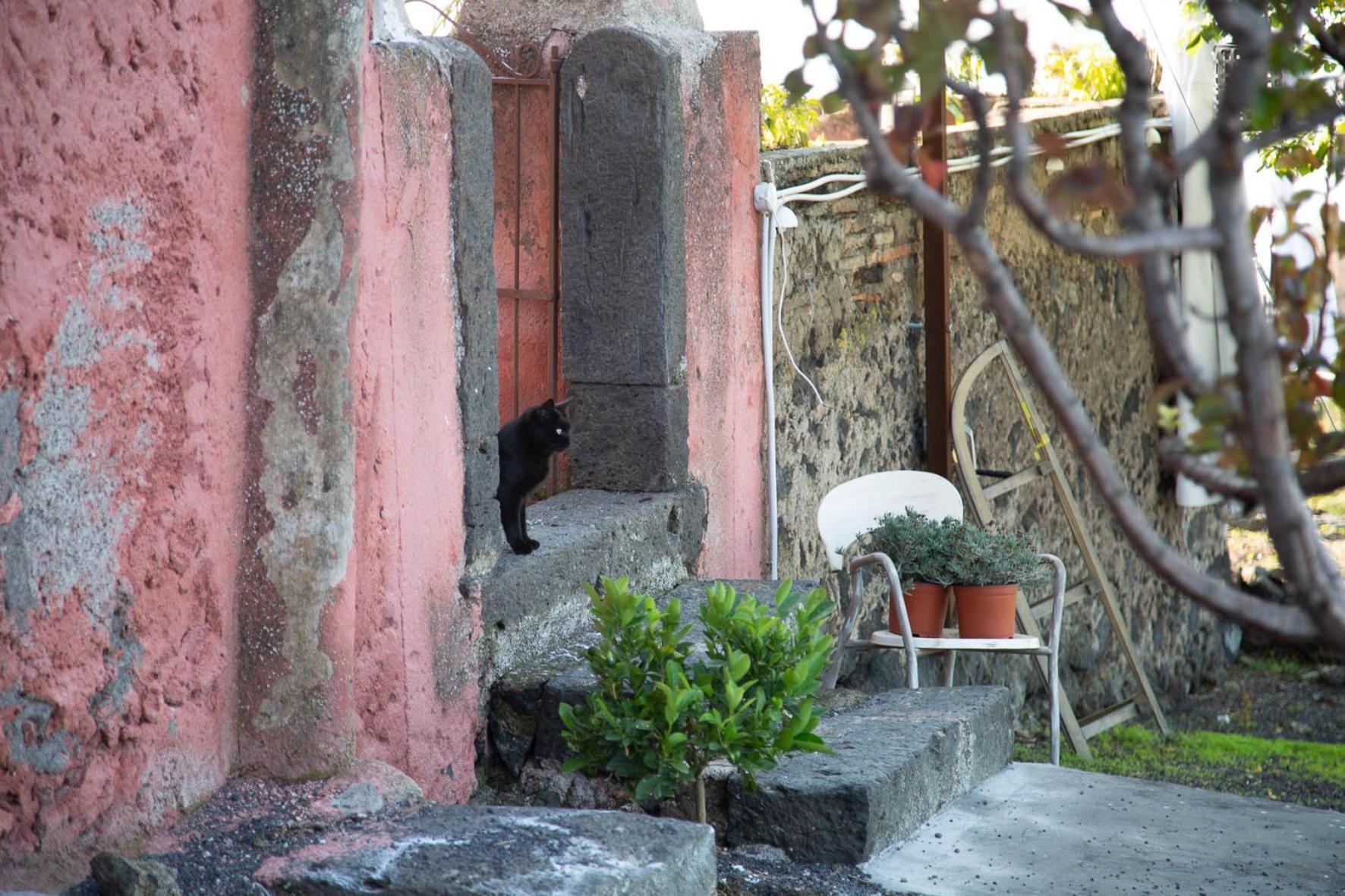 Podere Dell'Etna Segreta - Essential Nature Hotel & Glamping Biancavilla Eksteriør bilde